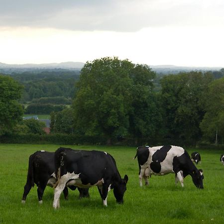 Ballindrum Farm B&B Athy Dış mekan fotoğraf