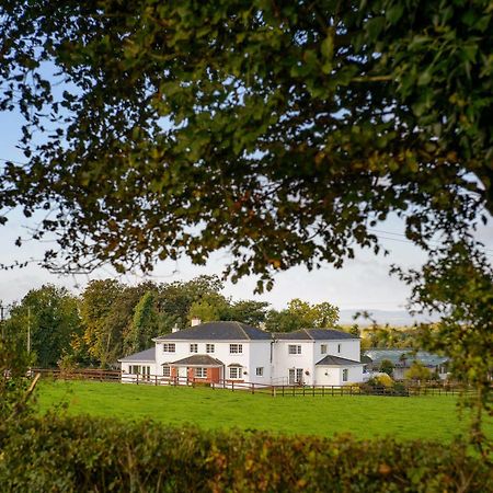 Ballindrum Farm B&B Athy Dış mekan fotoğraf