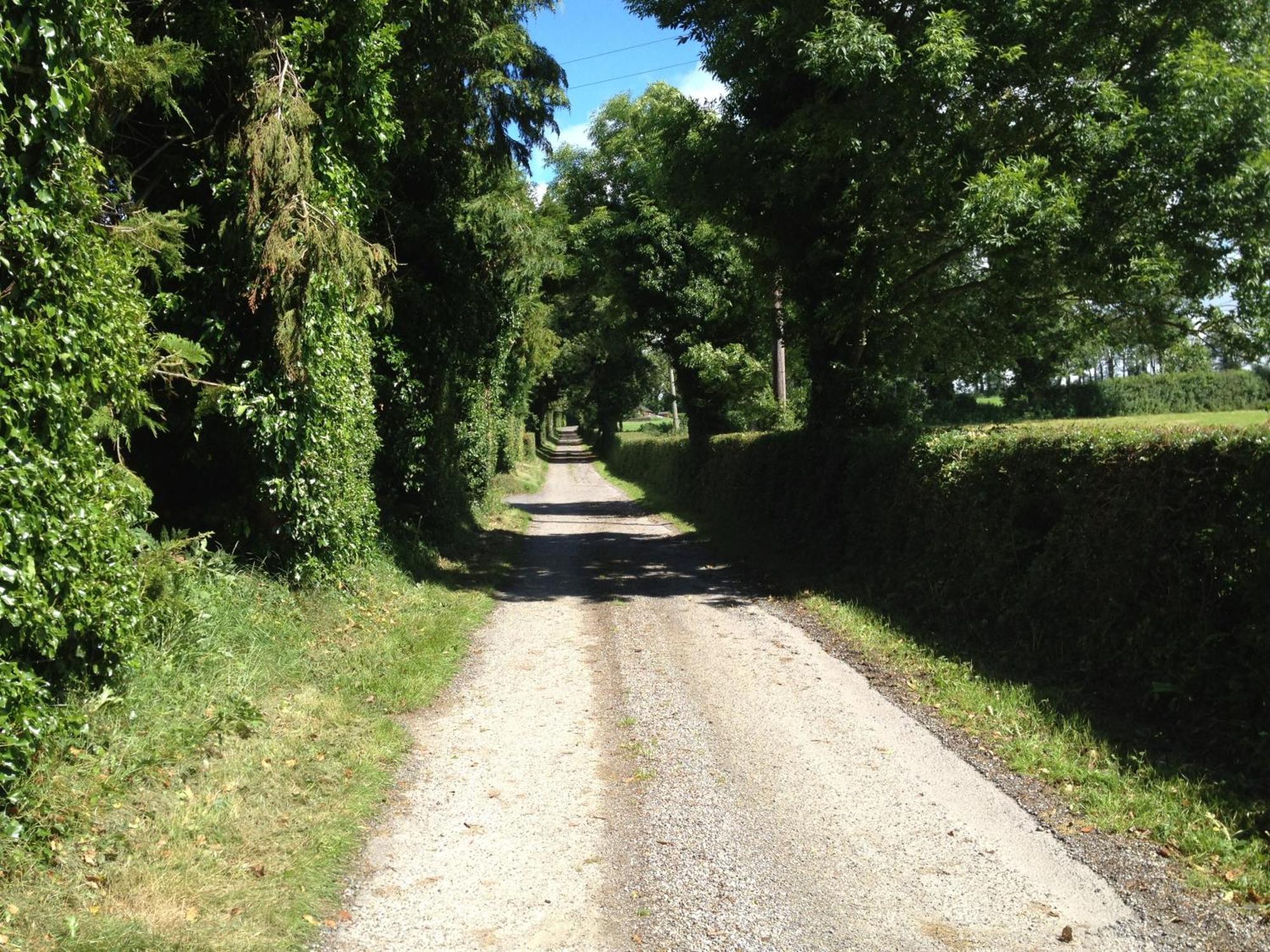 Ballindrum Farm B&B Athy Dış mekan fotoğraf