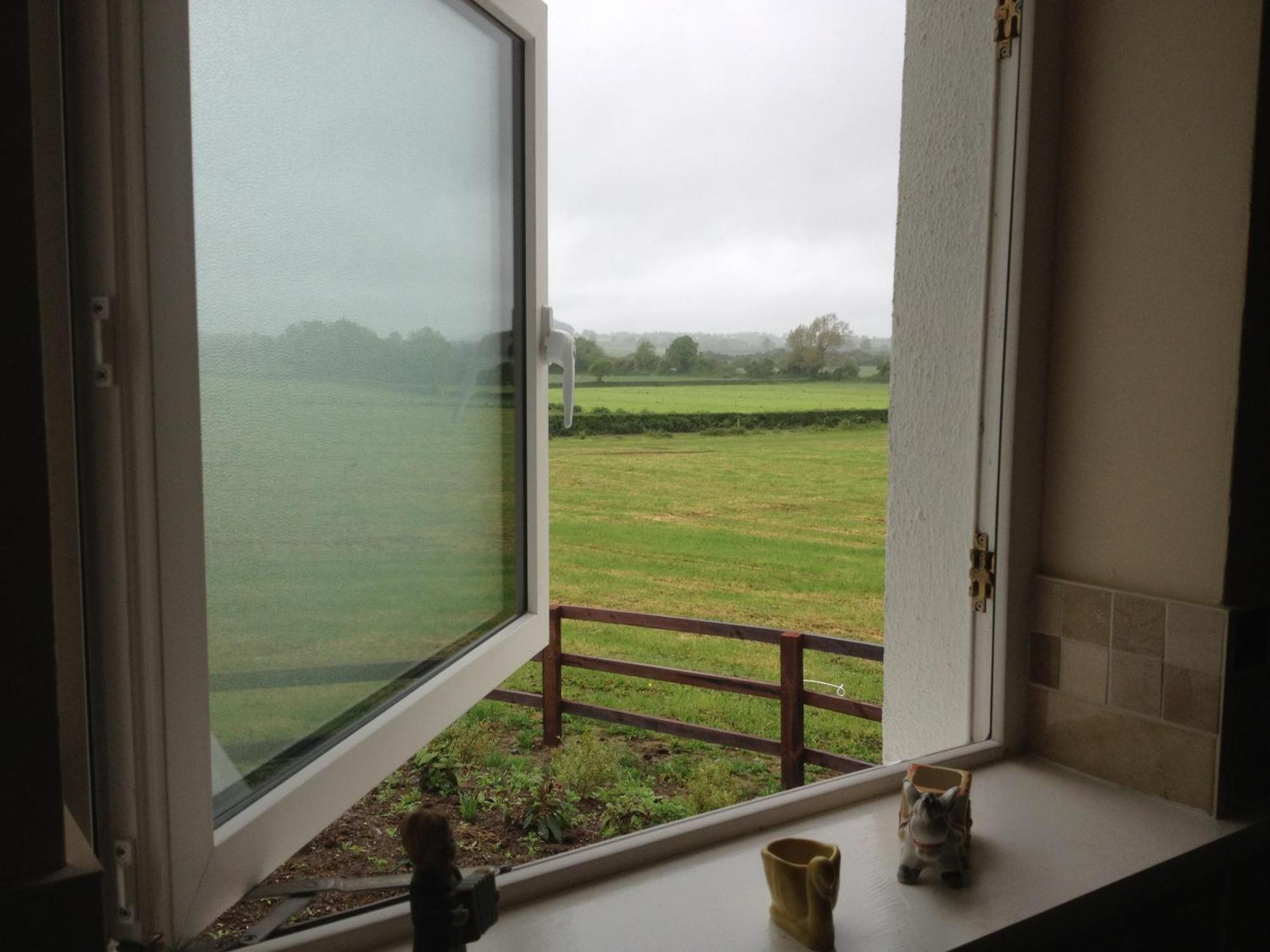 Ballindrum Farm B&B Athy Dış mekan fotoğraf