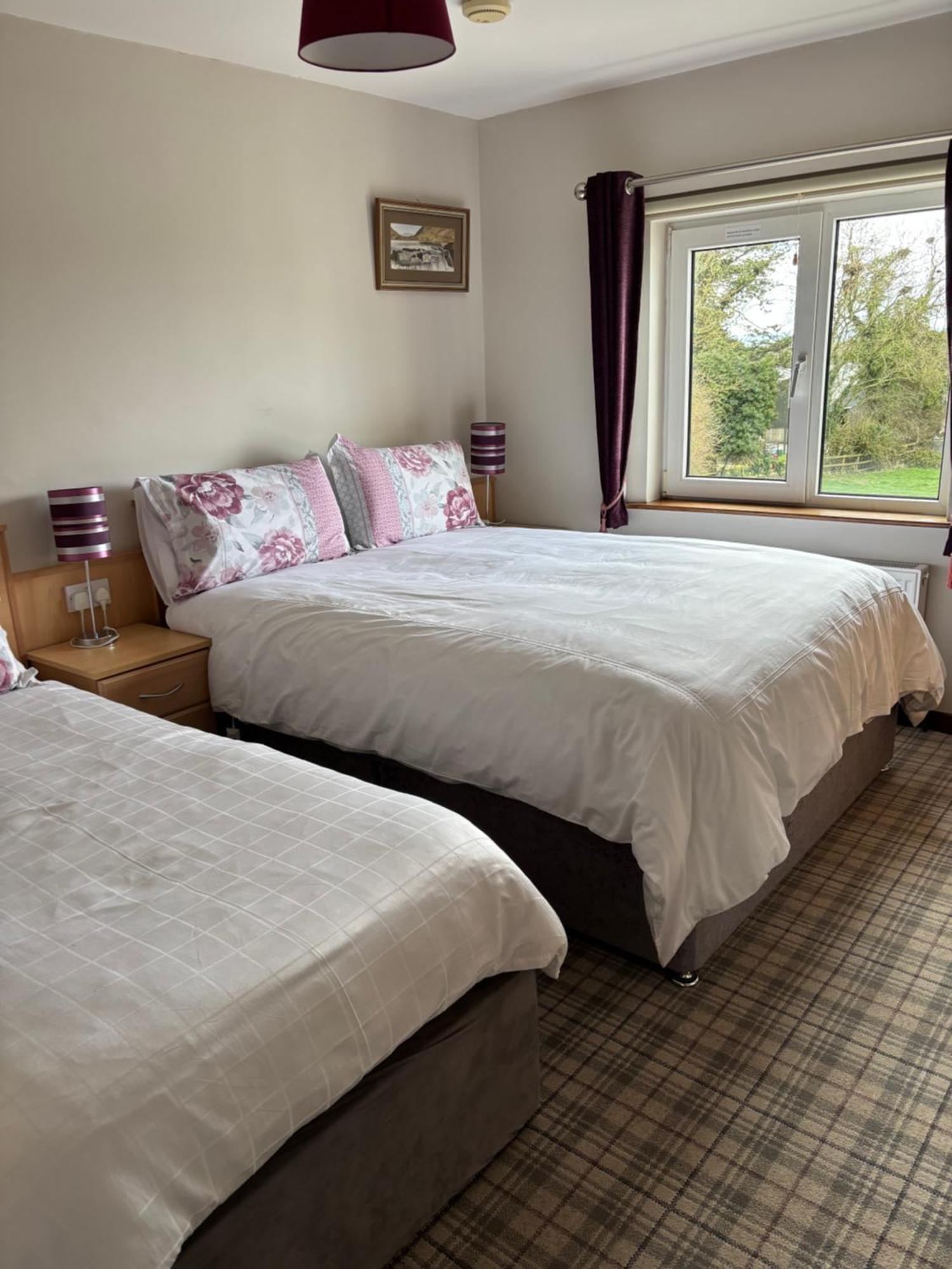Ballindrum Farm B&B Athy Dış mekan fotoğraf