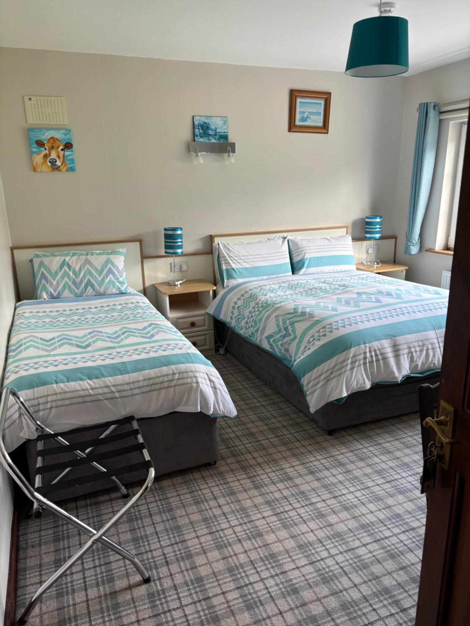 Ballindrum Farm B&B Athy Dış mekan fotoğraf