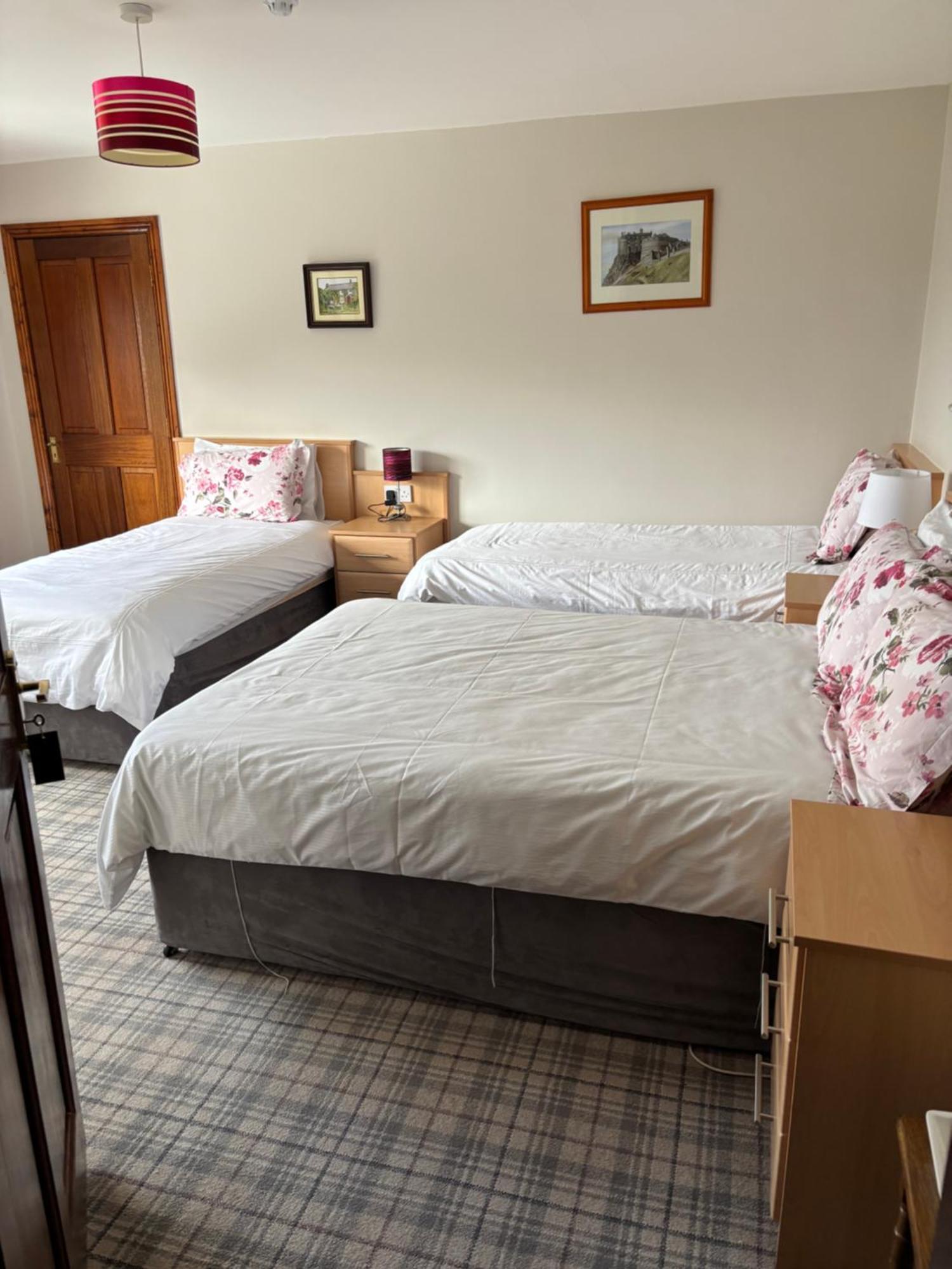 Ballindrum Farm B&B Athy Dış mekan fotoğraf