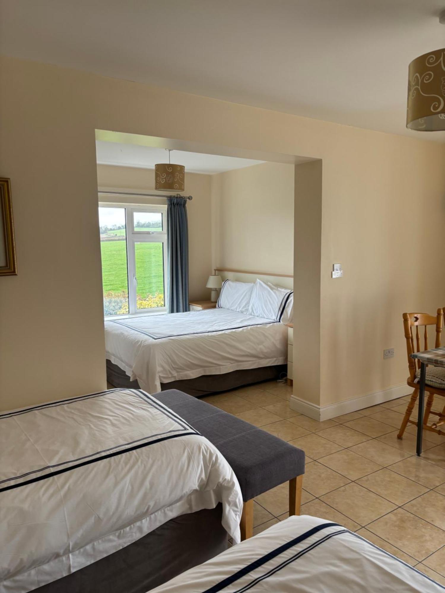 Ballindrum Farm B&B Athy Dış mekan fotoğraf