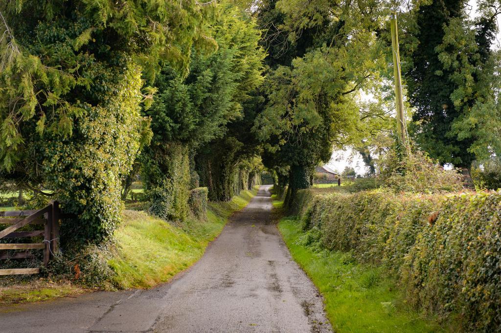 Ballindrum Farm B&B Athy Dış mekan fotoğraf