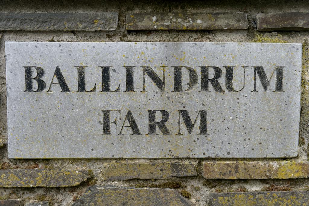Ballindrum Farm B&B Athy Dış mekan fotoğraf