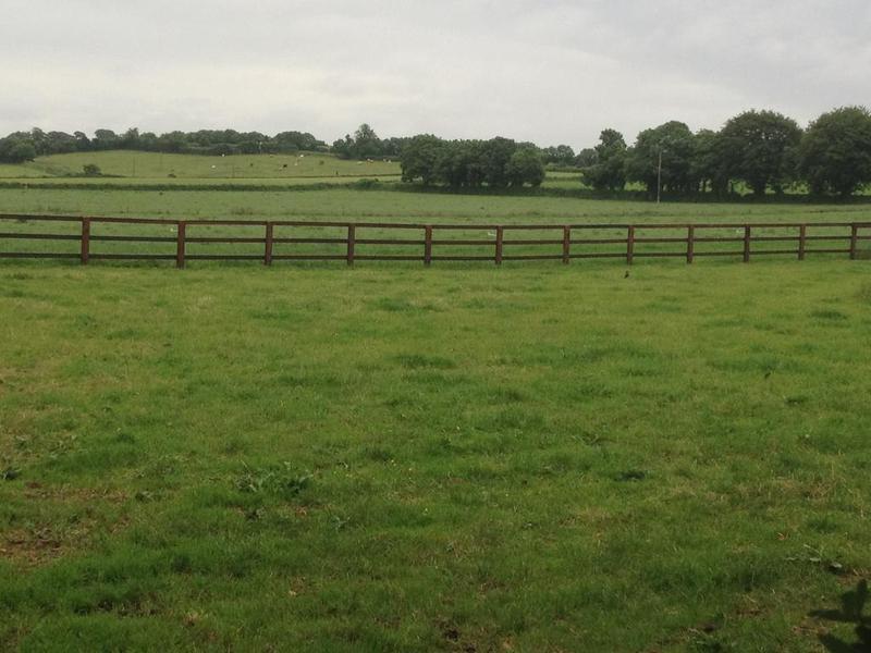 Ballindrum Farm B&B Athy Dış mekan fotoğraf