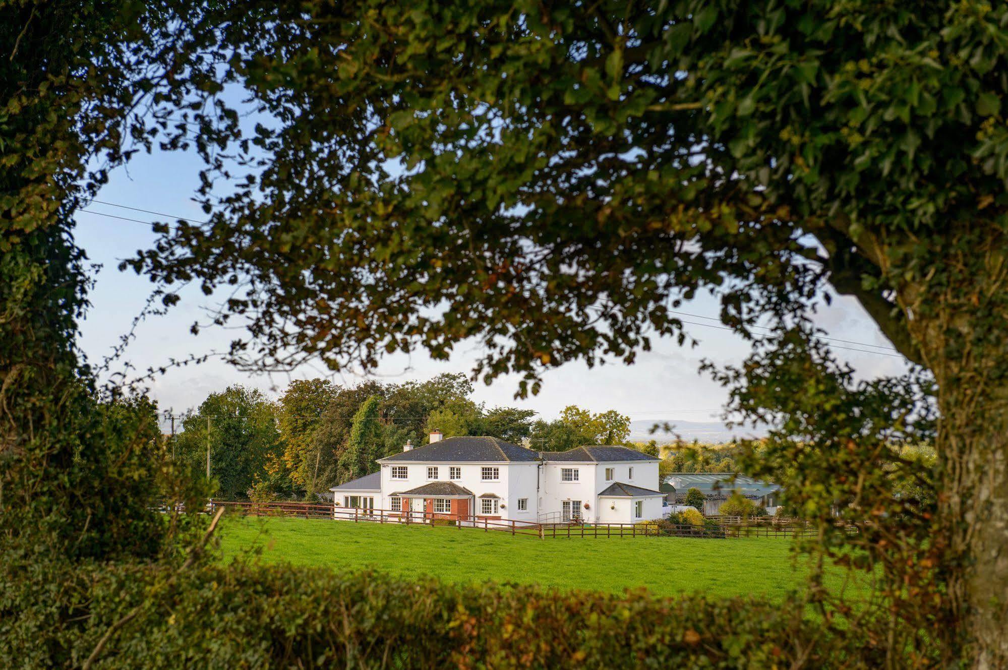 Ballindrum Farm B&B Athy Dış mekan fotoğraf