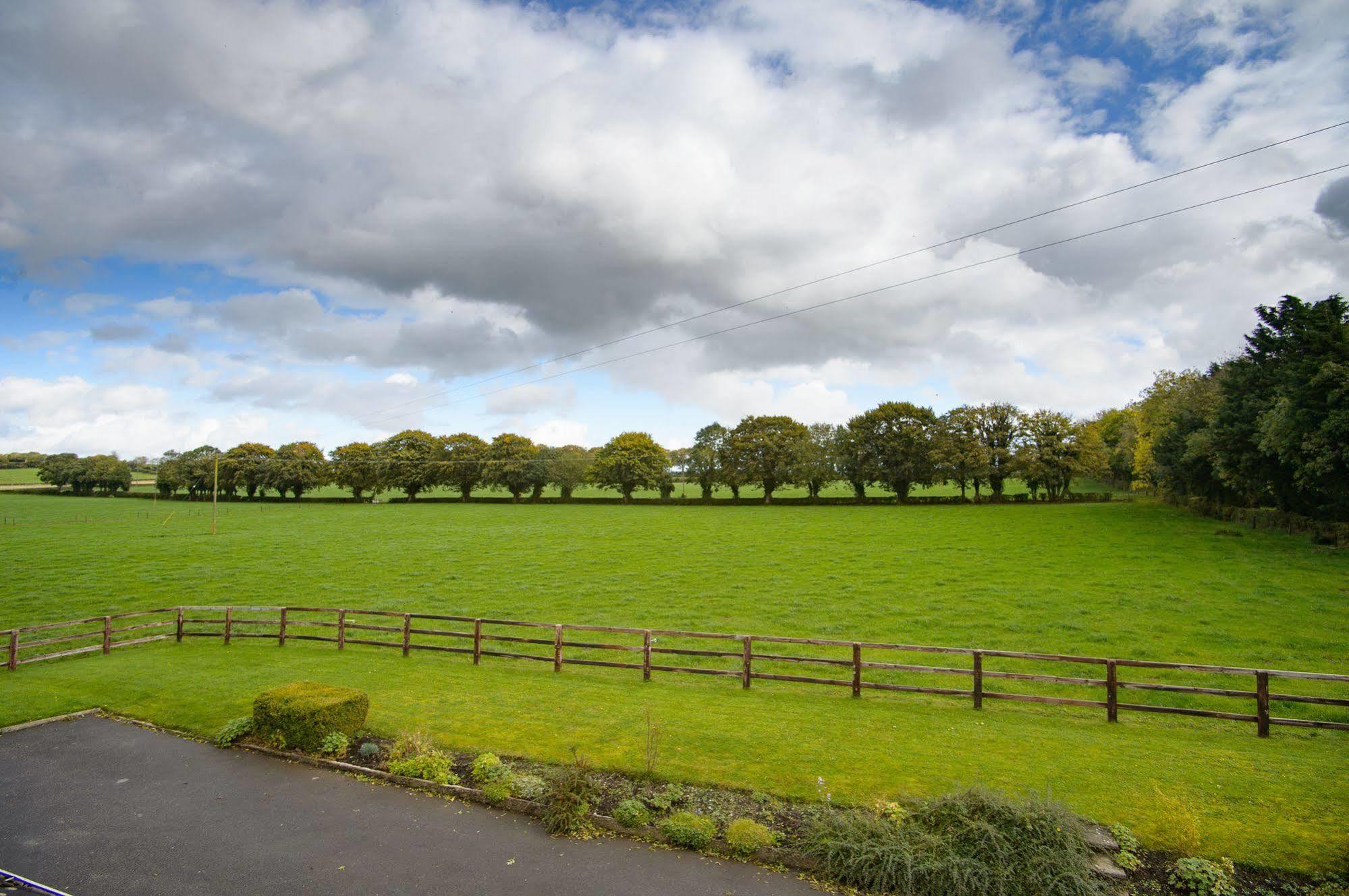 Ballindrum Farm B&B Athy Dış mekan fotoğraf