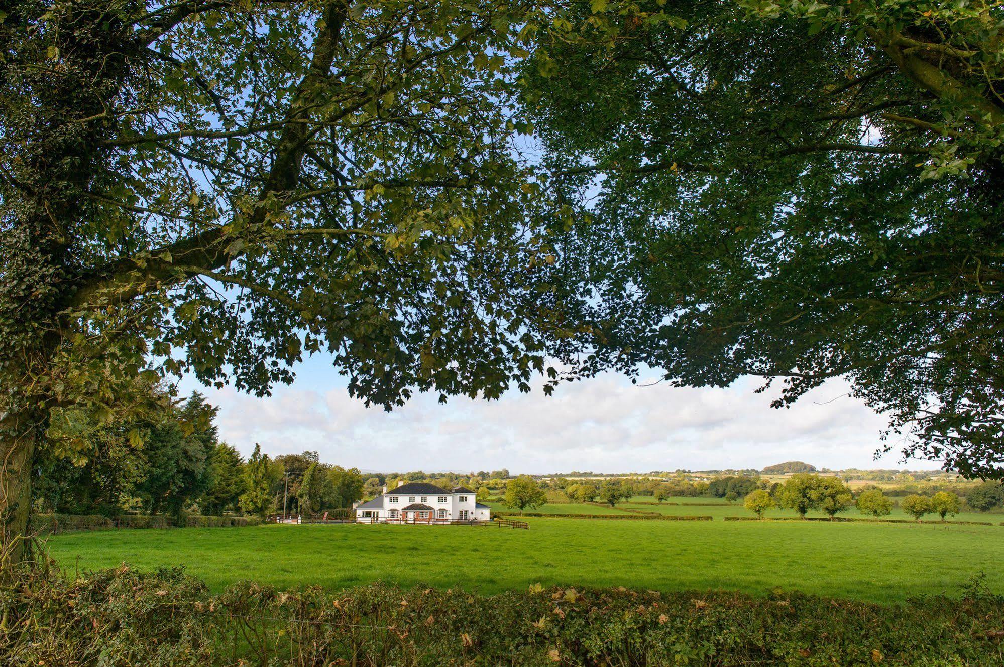 Ballindrum Farm B&B Athy Dış mekan fotoğraf